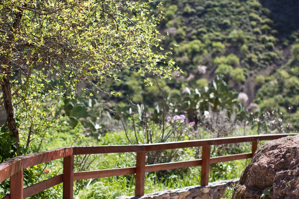 Casas Rurales De Guayadeque Ingenio Dış mekan fotoğraf